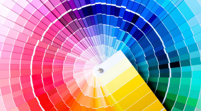 Ariana Nasi| Combinações de cores: Como usar nos looks!