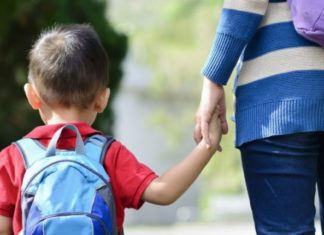 Ariana Nasi| Volta às aulas: Como se organizar!