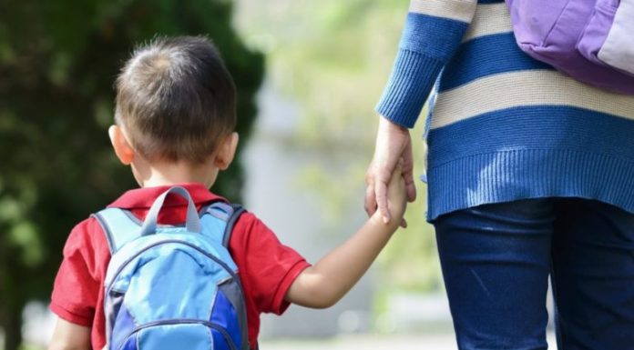 Ariana Nasi| Volta às aulas: Como se organizar!