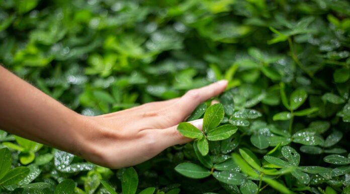 Airana Nasi| Workshop Ressignificando a Beleza: Participe dessa jornada de autoconhecimento!