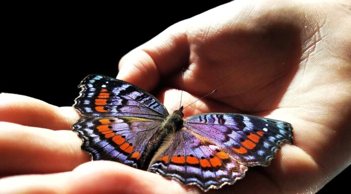 Ariana Nasi| Consultoria de Imagem: O início de transformações na sua vida