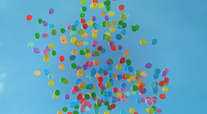 Ariana Nasi| Seja Você e Voe: embarque nessa jornada de Consultoria Integrativa