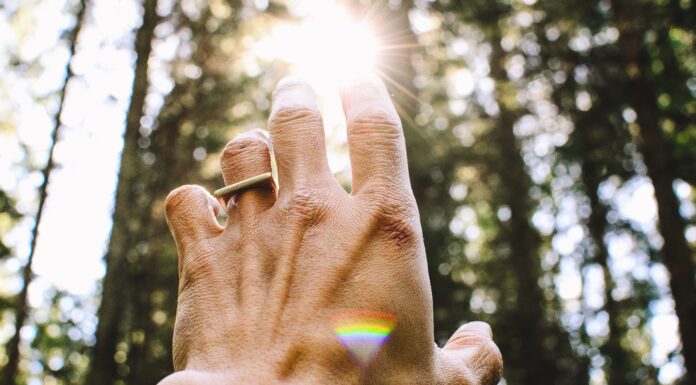 Ariana Nasi| Alcance abundância em sua vida com o Thetahealing Thetahealing